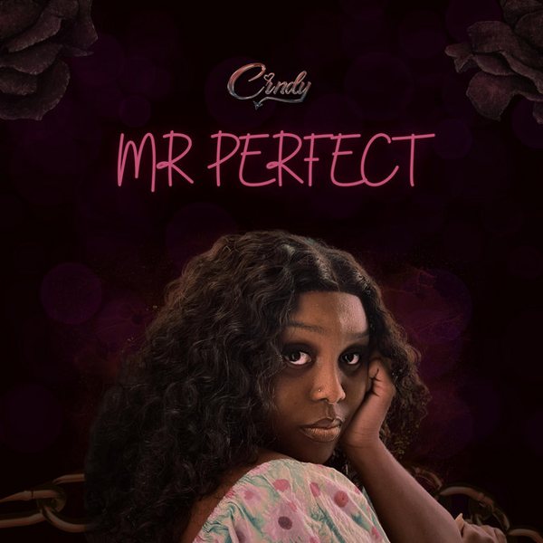 Mr Perfect cover art